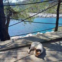  at Skidia Tavern - Kekes Beach in Paros