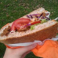 Vegi Kebab, made with ​​seitan. at Bobencek in Ljubljana