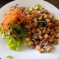 larb salad at Veggie House in Los Angeles