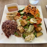 Weekday lunch combo, Spicy Basil with tofu (my choice of plant protein). Delicious! 😋  at Veggie House in Los Angeles