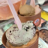 All ice cream is vegan and sooo good at IJssalon Scoobs & Winstons in Alkmaar