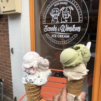   at IJssalon Scoobs & Winstons in Alkmaar