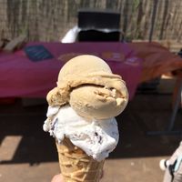 funky vegan festival  at IJssalon Scoobs & Winstons in Alkmaar