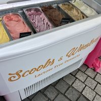 assortment vegan fair rotterdam 2025  at IJssalon Scoobs & Winstons in Alkmaar