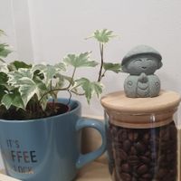 Decor 2 at NaTuri Café & Deli in Budapest