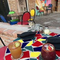 Restaurant cat!   at La Zurda Beer Co in San Carlos