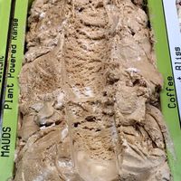 Coffee at Mauds - Ormeau in Belfast