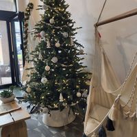  at The Smoothie Room in Orlando