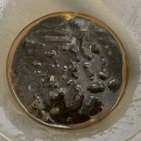   at The Plant-Based Project in Taguig