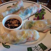 Freshy Rolls at Thai Vegan in Santa Fe