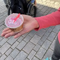 Lavender and lemon. So delicious. Have to ask for vegan flavors.  at Eisprinzessin in Oberstdorf