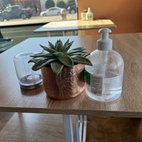   at My Vegan Gold in Los Angeles