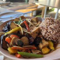 PET  at My Vegan Gold in Los Angeles