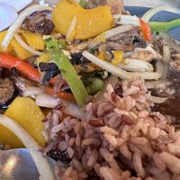 PET close upp  at My Vegan Gold in Los Angeles