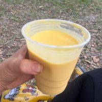 Vegan Mango Lassi ! They DO offer a vegan mango lassi that they provide at the Critter Creek Moo-ket.   at Braised Yum in Gainesville