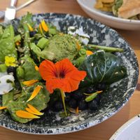 Summer salad at Púca in Dingle