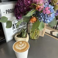 Oat latte   at Harbor Fox Coffee Bar in West Dennis