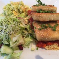 tofu at Avocado Vegan Bistro in Gdansk