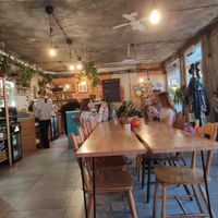 Homey decor and good food. at Avocado Vegan Bistro in Gdansk