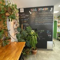 cozy vibes  at Avocado Vegan Bistro in Gdansk