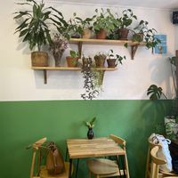 loooove tha plants  at Avocado Vegan Bistro in Gdansk