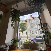 so cozy  at Avocado Vegan Bistro in Gdansk