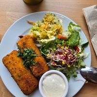 Croquettes with spinach and vegan mozzarella at Avocado Vegan Bistro in Gdansk