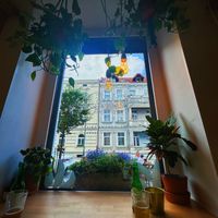   at Avocado Vegan Bistro in Gdansk