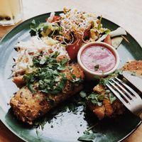 Croquettes!! at Avocado Vegan Bistro in Gdansk