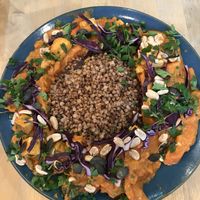 Curry at Avocado Vegan Bistro in Gdansk