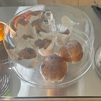 Cakes selection  at DAMKA • cafè & bakery in Krakow