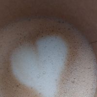  at DAMKA • cafè & bakery in Krakow