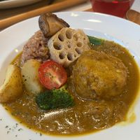curry, ordered vegan at Natural Food Dining LOHAS in Sapporo