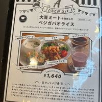 gapao rice - menu doesn't mention fish but I believe she said it usually contains fish, so you should double check at Natural Food Dining LOHAS in Sapporo