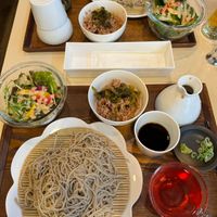 Soba noodles set (gluten free and allium free) at Natural Food Dining LOHAS in Sapporo