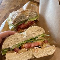 Tempo locked tight on an everything bagel  at Friendly Foodees in Alpena