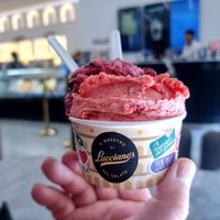Sorbet at Lucciano's in Rome