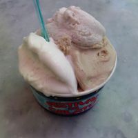 rice milk flavors at Festival del Gelato in Florence