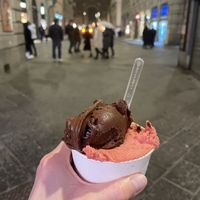 Vegan dark chocolate and vegan strawberry gelato  at Festival del Gelato in Florence