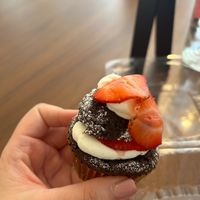   at chloe in New York City