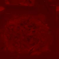 Pad Thai at An Hy Quan in Albuquerque