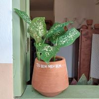 Frase do dia 🌱 at A Varandinha in Itacare