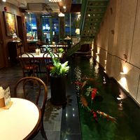 Beautiful and calm environment to relax at iVegan Supershop Nha Trang - Healthy Plant Based Cafe in Nha Trang