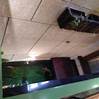 There are fishes ;-( at iVegan Supershop Nha Trang - Healthy Plant Based Cafe in Nha Trang