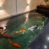 Fishes at iVegan Supershop Nha Trang - Healthy Plant Based Cafe in Nha Trang