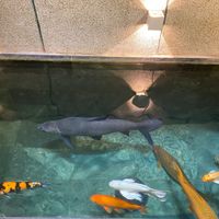  at iVegan Supershop Nha Trang - Healthy Plant Based Cafe in Nha Trang