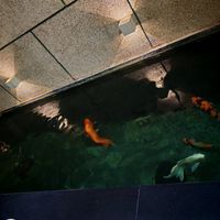  at iVegan Supershop Nha Trang - Healthy Plant Based Cafe in Nha Trang