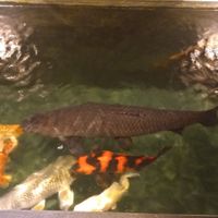  at iVegan Supershop Nha Trang - Healthy Plant Based Cafe in Nha Trang