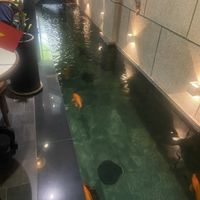 Interior   at iVegan Supershop Nha Trang - Healthy Plant Based Cafe in Nha Trang