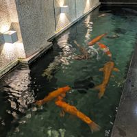  at iVegan Supershop Nha Trang - Healthy Plant Based Cafe in Nha Trang